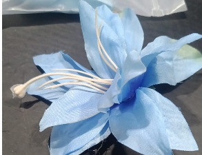 Private Label LOTAS CLIP FOR GITL