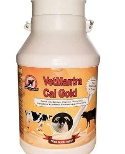 Vet Mantra Cal Gold 5 LTR Calcium for Cow Buffalo Goat Sheep Horse Dog cat Pig Milk Enhancer for Diary Animals Vitamins and Minerals 5L