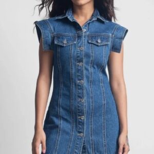 BLUER Paneled Denim Button up Dress blue colour size S