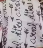 Private Lable cotton blend Scarves Color White