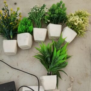 Multicolour Mini Plant For Home Decor Pack Of 6