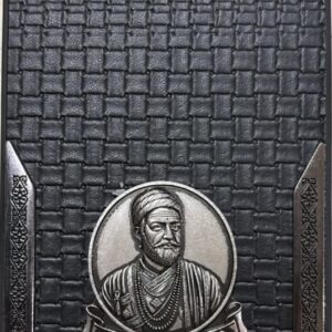 I Phone 11Plus Back Cover Black Colour