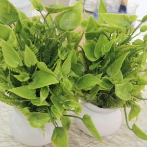 Green Artificial Flower With Pot Set Of 2