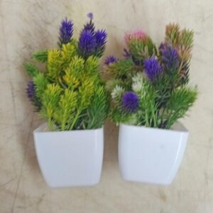 Great And Attractive Look Artificial Plant For Home Office Decoration Pack Of 2