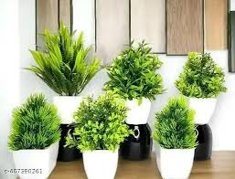 White Color Artificial Flower Pot Set Of 6