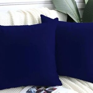 Daddy Cool Navy Blue 1 Piece Velvet Filled Cushions With Cover 24X24