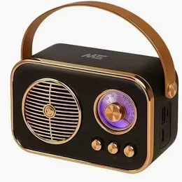 Mz High Power Wireless Speaker M209