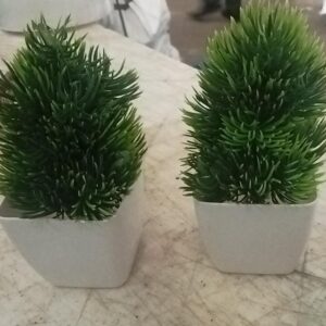 Green Colour Mini Artificial Plants For Home