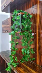 Artificial Creeper Money Plant Leaf Garland