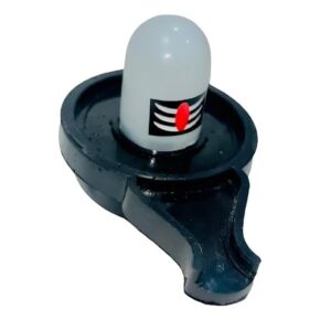 Waterproof Sensor Shivling White