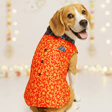 Red And Blue Dog Sherwani Size M