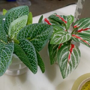 Artificial Pot Green Colour Pack Of 2