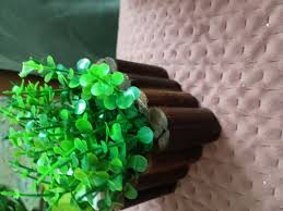 Handy Bee Unique And Attractive Look Plants Home Decor Items Pack Of 2 13 Point 5Cm