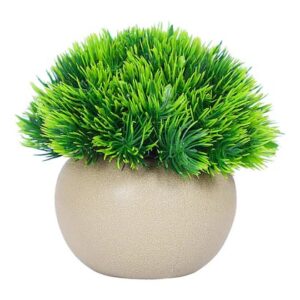 Round Shape Mini Indoor Brown Artificial Plants Pack Of 2