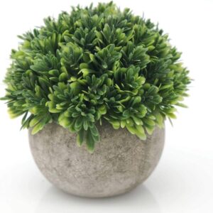 Round Shape Mini Indoor Brown Artificial Plants Pack Of 2
