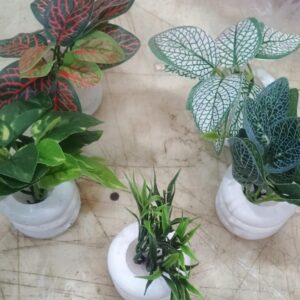 Multicolor Artificial Mini Pot Set Of 5