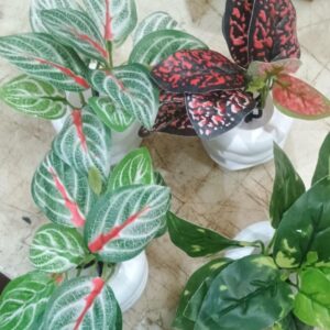 Multicolor Artificial Mini Pot Set Of 4