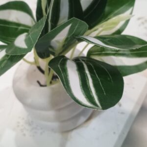 Multicolor Artificial Mini Pot