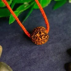 5 Mukhi Rudraksha