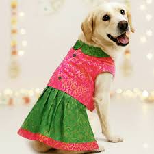 Dog Lehenga Green Size M
