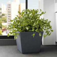 Gk Square Planters Grey Color Flower Pots 16 Inch Pots For Garden