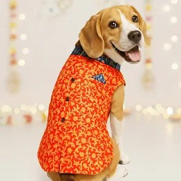 Red And Blue Dog Sherwani