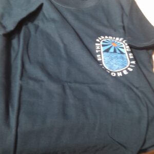 3 To 4 Yrs Kids Printed T Shirt Teal Blue