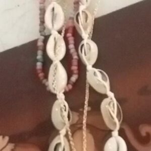 White Colour Cowrie Shell Necklace For Women