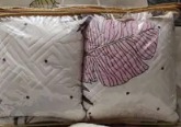 Cream Printed Cushion Pack Of 2