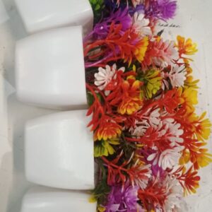 Multicolor Small Plant Pot Set Of 4