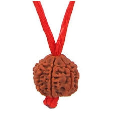 6 Mukhi Faced Nepali Rudraksha Beads Pendant With Red Thread 1Pc