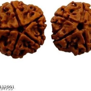 Punchmukhi Rudraksh Beads 2 Pcs