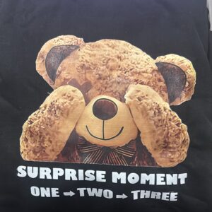 Men Hoodie Black Colour Size L