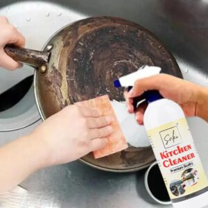 Srika Kitchen Cleaner 250 Ml