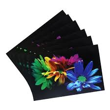 Flower Printed Pvc Waterproof Oil Proof Table Mats Dining Multicolour Hs43Kubmart26104 Set Of 6