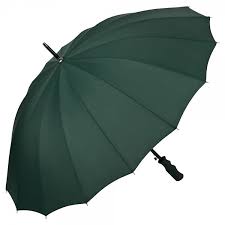 Umbrella Colin Hunter Green Colour