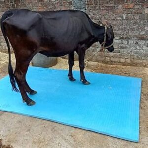 Heavy Duty Blue Cow Mat 5X8 Feet