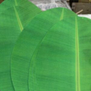 Artificial Tall Big Leaves Patta Pack Of 6