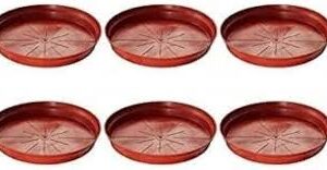 Bvsf Set Of 6 8 Inches Plastic Tray Plate To Keep Under Plant Pot