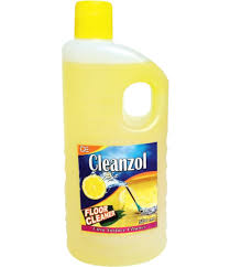 Global Clean Eez Floor Cleaner 500Ml