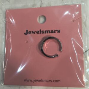 Titanium Nose Ring Hoop