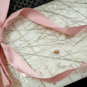 Jewelsmart Peach Color Ribbon Hair Clip