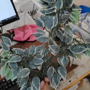 Green Robber 24 Inch Artificial Ficus Leaves Pieces