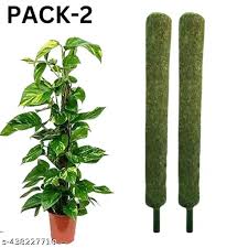 Moss Coir Stick Moistick Grass Stick 2 Feet Moistick Indoor And Outdoor Stick Pack Of 2