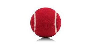 Aryansh Shoppe Red Tennis Ball Light Weight Rubber For Cricket Tennis Tennis Red