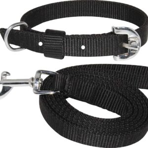 Private Lable Lead Belt for Medium Dogs black colour