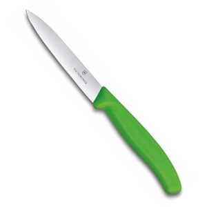 Victorinox Paring Knife 10cm green colour