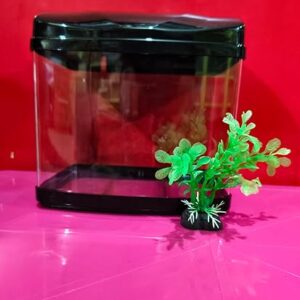 Private Lable Mini Aquarium K200 with Plant and Betta Fish Food 20G red colour