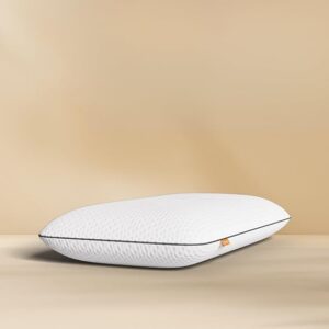 Emma Germany Orthopedic Memory foam pillow