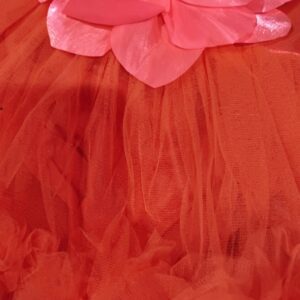 Private Label Size 16 Kid Girls Frock Orange Colour